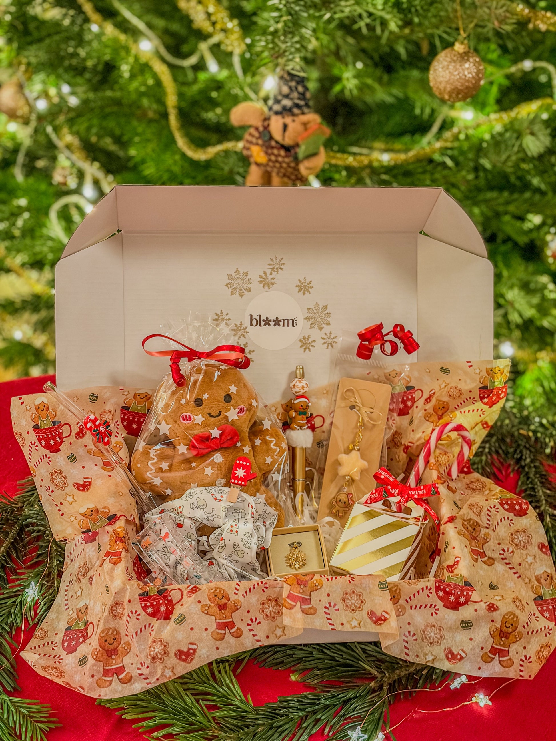 Christmas Magic Box ⋆❅*𖢔𐂂☃︎꙳ – Gingerbread Edition BloomLov