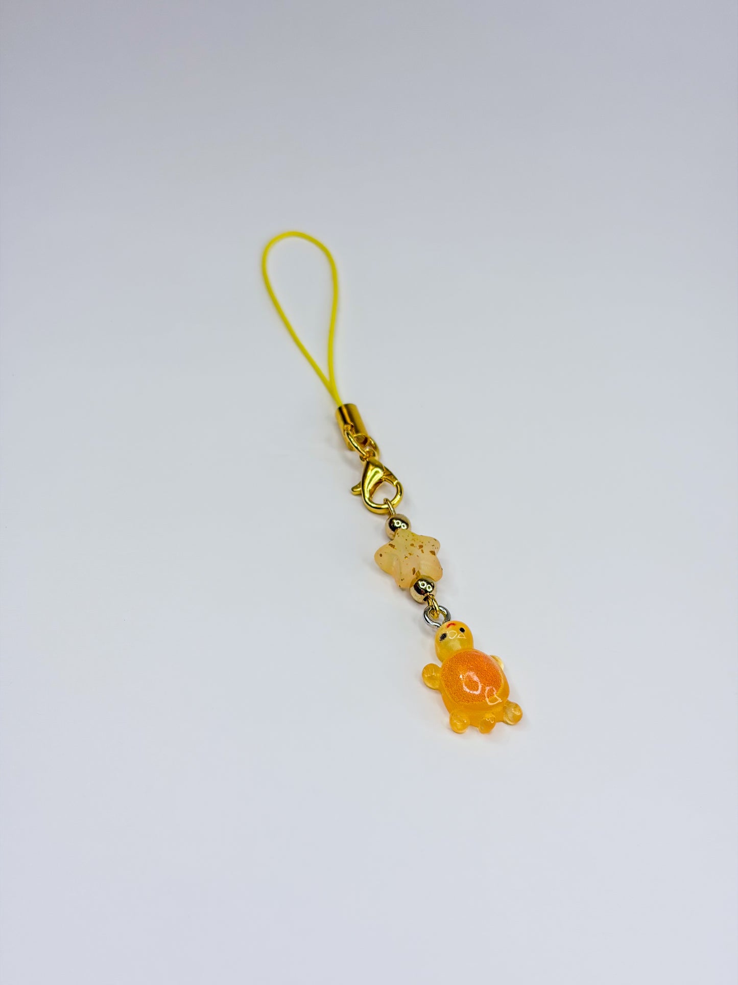 Lucky Turtle 𓆉°❀⋆.*:･ - Mystery Pocket