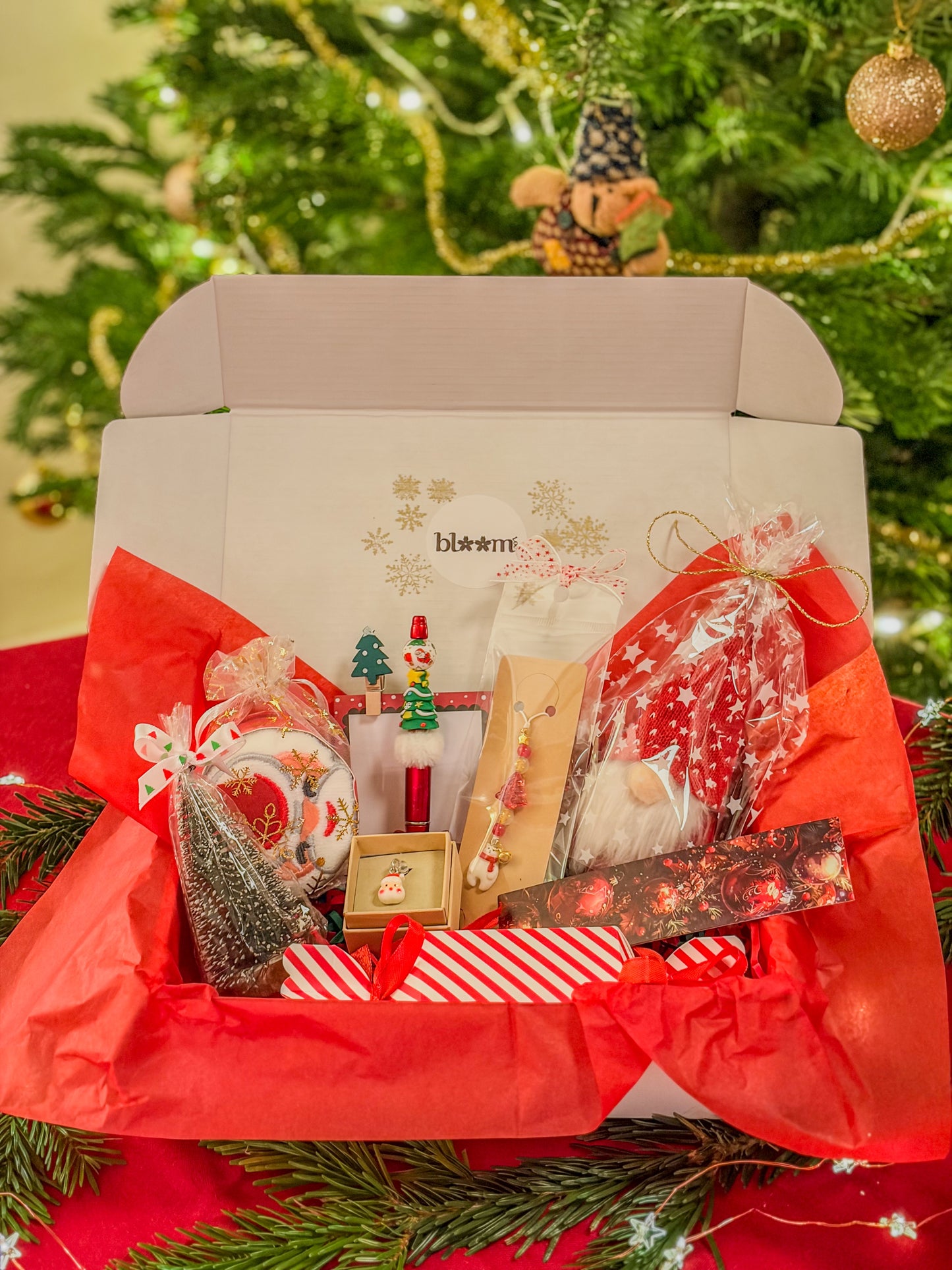 Christmas Magic Box 𖠰𐂂𖣂𖢔𖠋𖠰 – Red Edition BloomLov