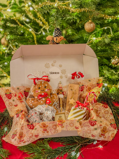 Christmas Magic Box ⋆❅*𖢔𐂂☃︎꙳ – Gingerbread Edition BloomLov
