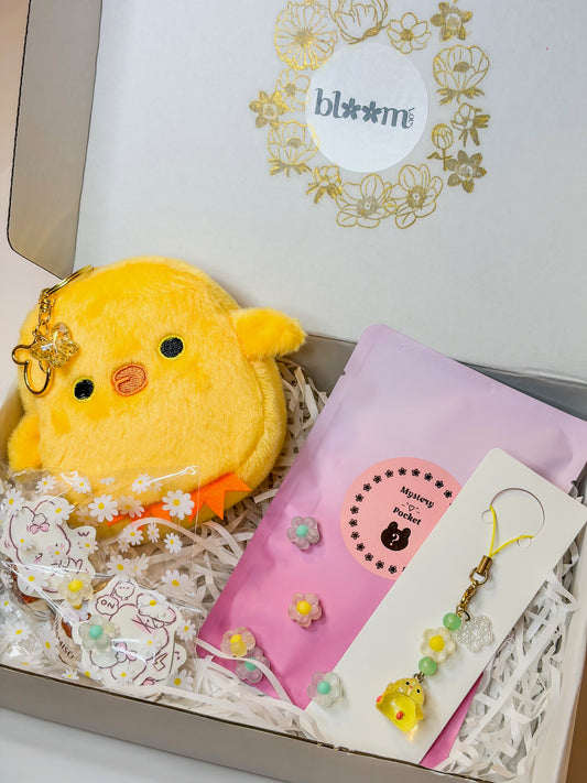 Lucky Chick Mystery Box – Coffret Cadeau 🐥🎁 BloomLov