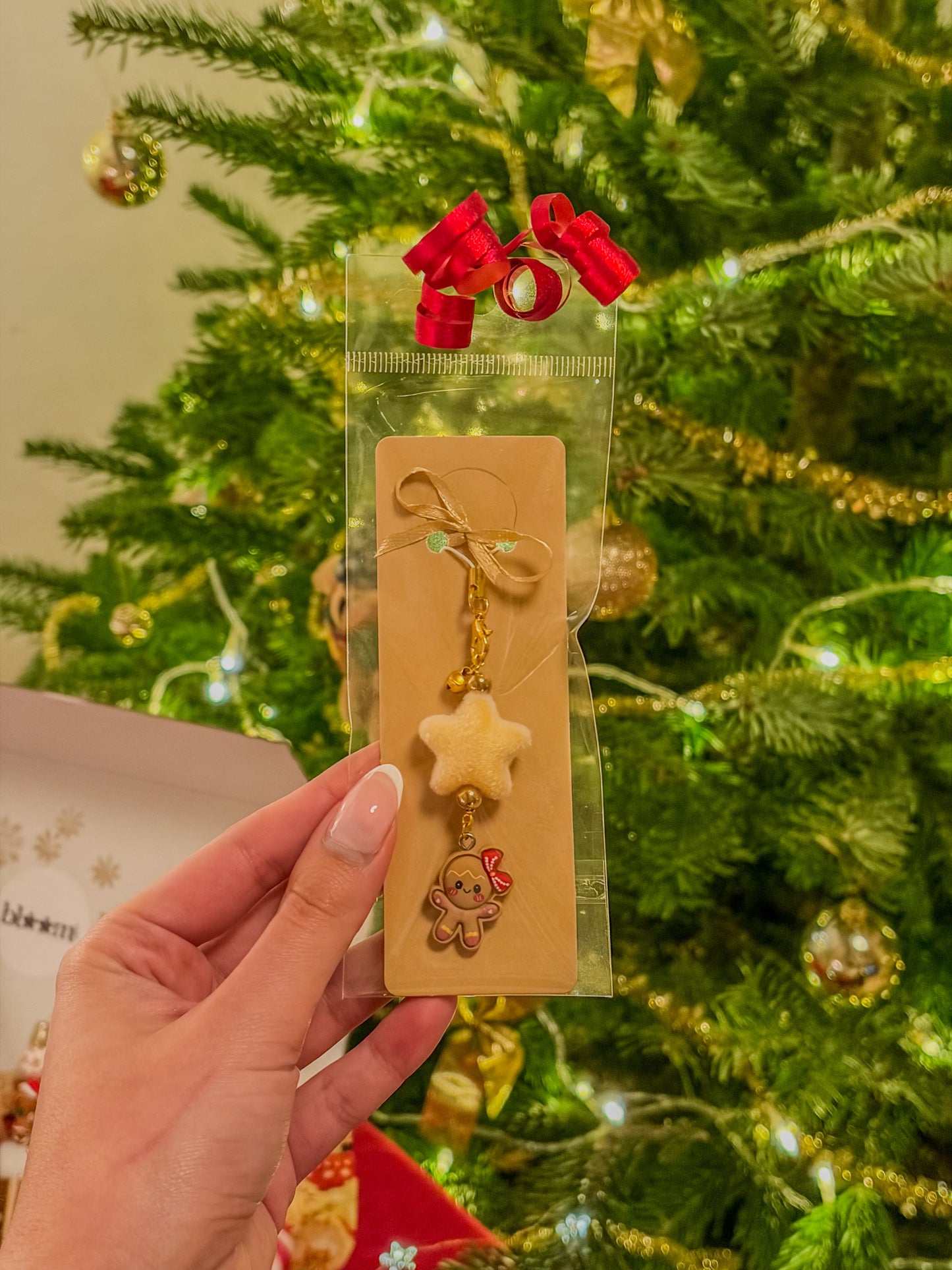 Christmas Magic Box ⋆❅*𖢔𐂂☃︎꙳ – Gingerbread Edition BloomLov