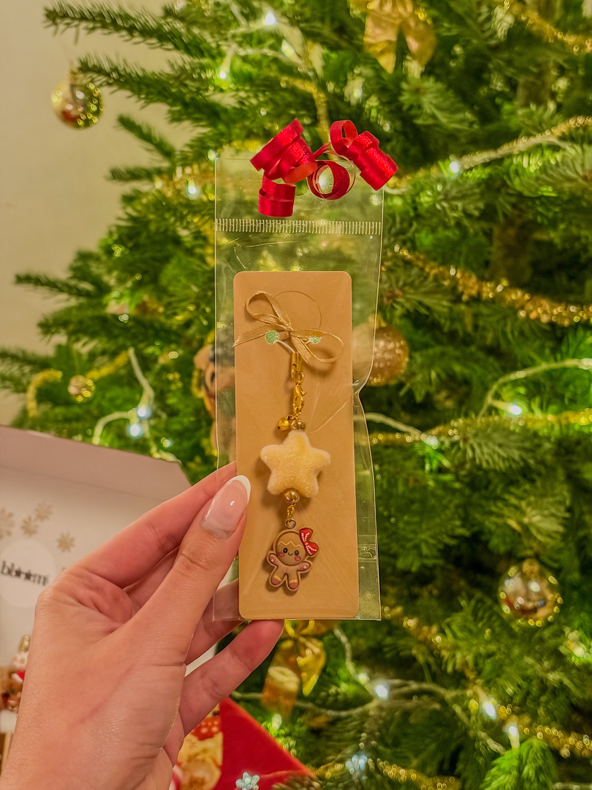 Christmas Magic Box ⋆❅*𖢔𐂂☃︎꙳ – Gingerbread Edition BloomLov