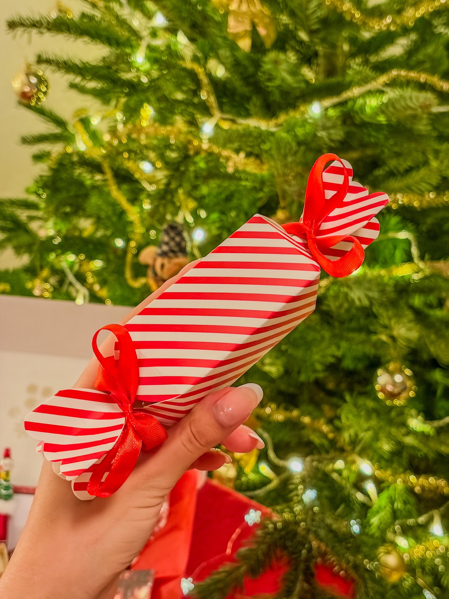 Christmas Magic Box 𖠰𐂂𖣂𖢔𖠋𖠰 – Red Edition BloomLov