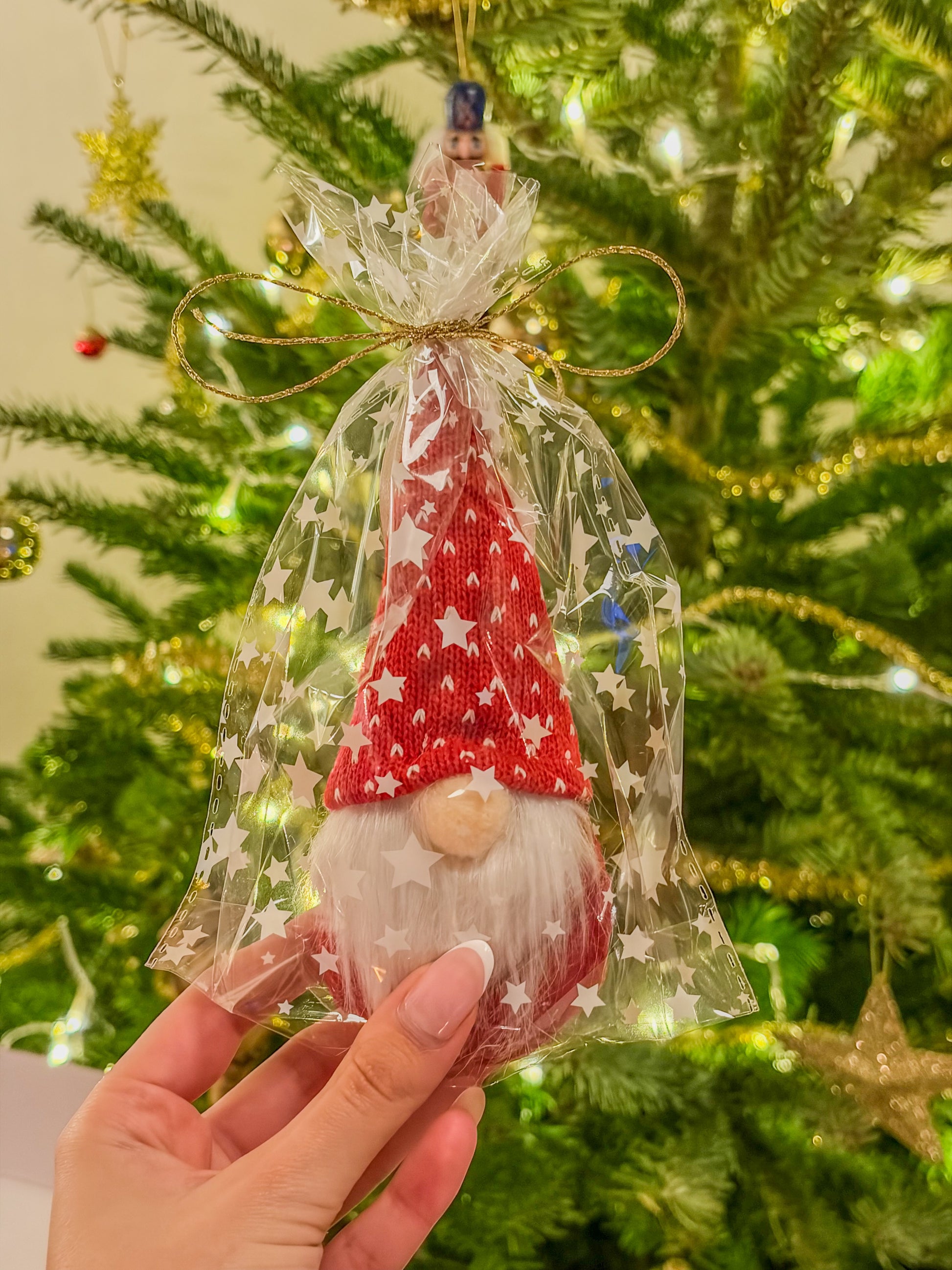 Christmas Magic Box 𖠰𐂂𖣂𖢔𖠋𖠰 – Red Edition BloomLov