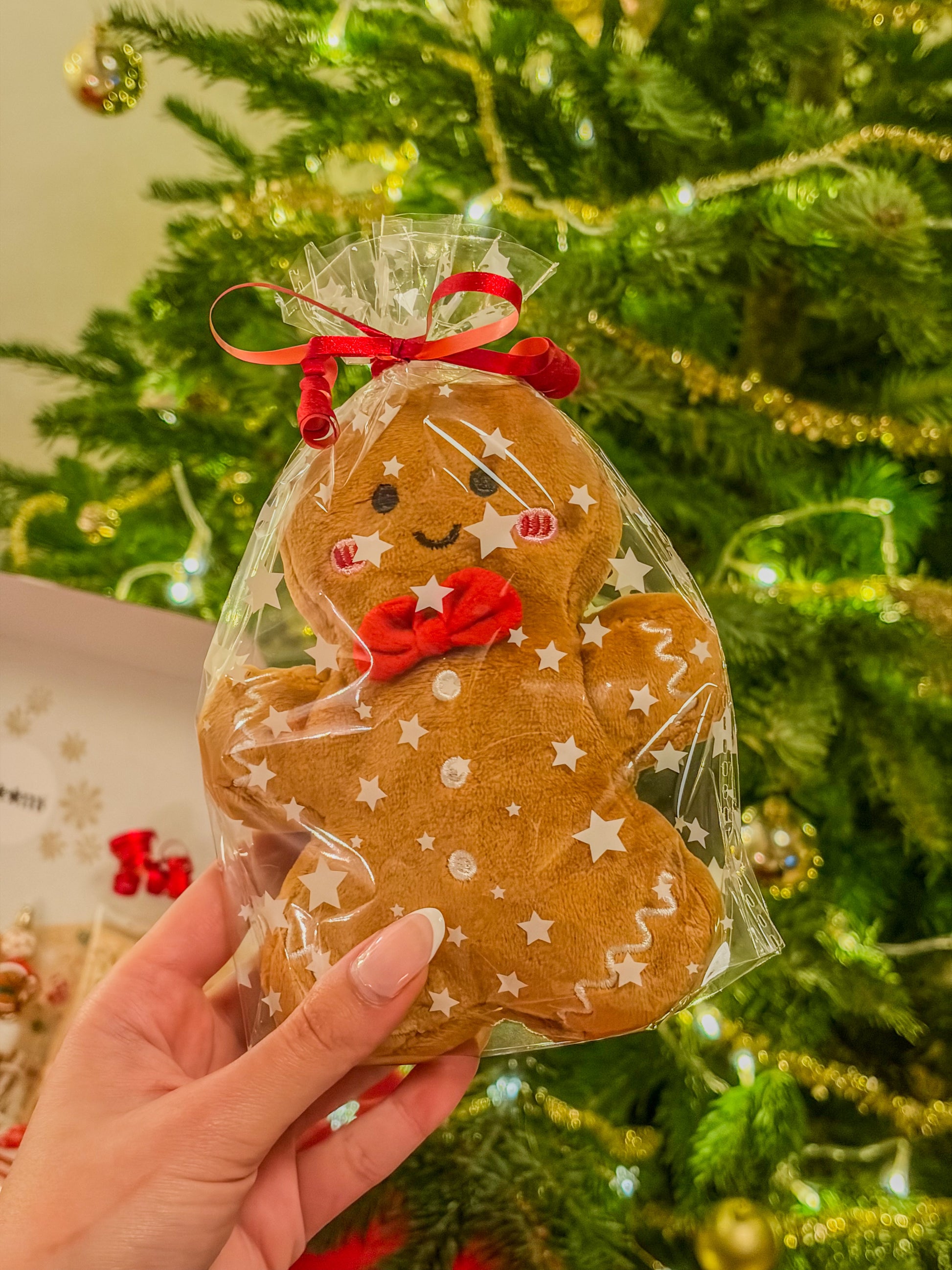 Christmas Magic Box ⋆❅*𖢔𐂂☃︎꙳ – Gingerbread Edition BloomLov