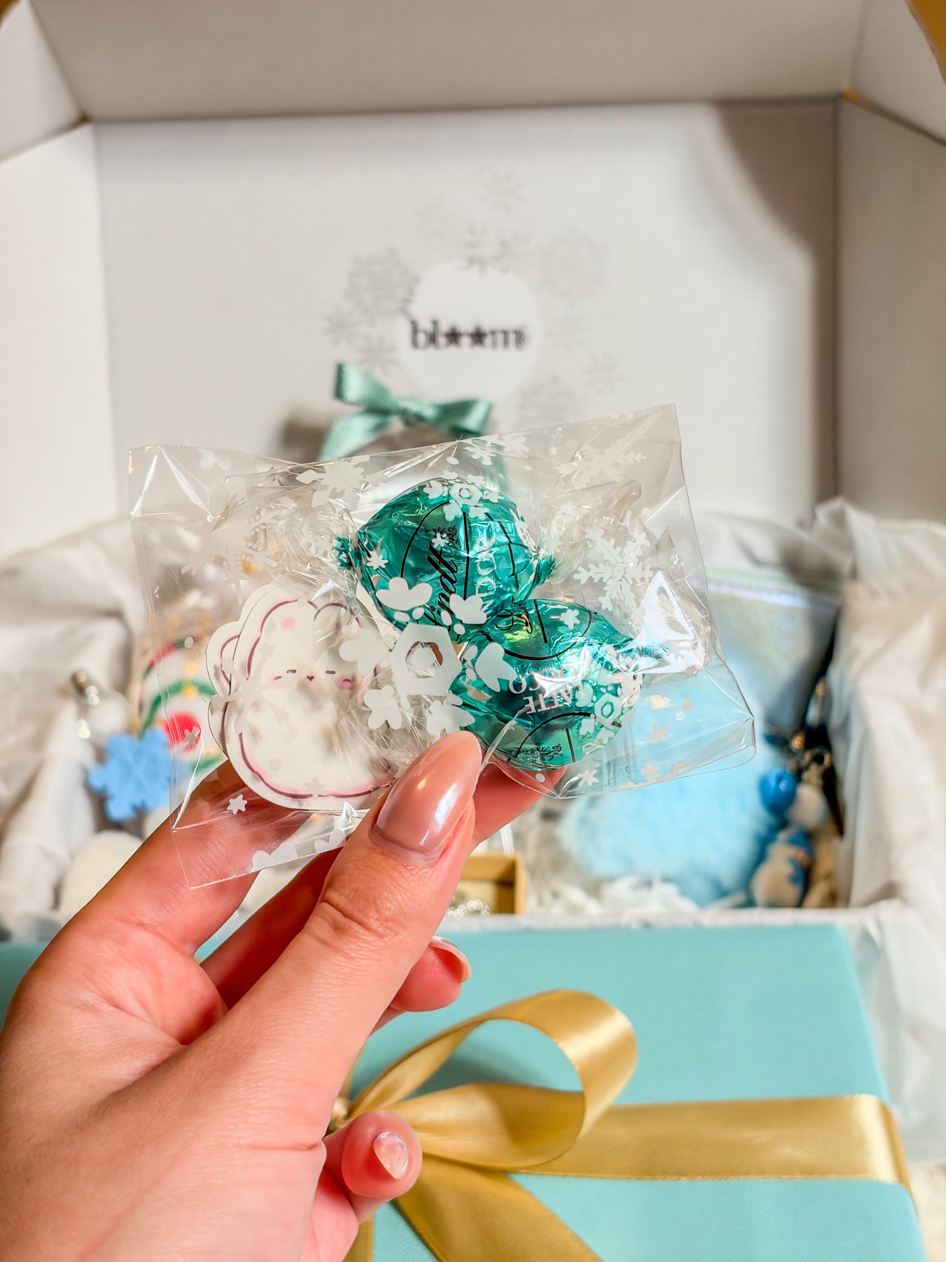 Christmas Magic Box ❅‧*₊⋆☃︎‧*❆₊⋆ – Frozen Edition BloomLov