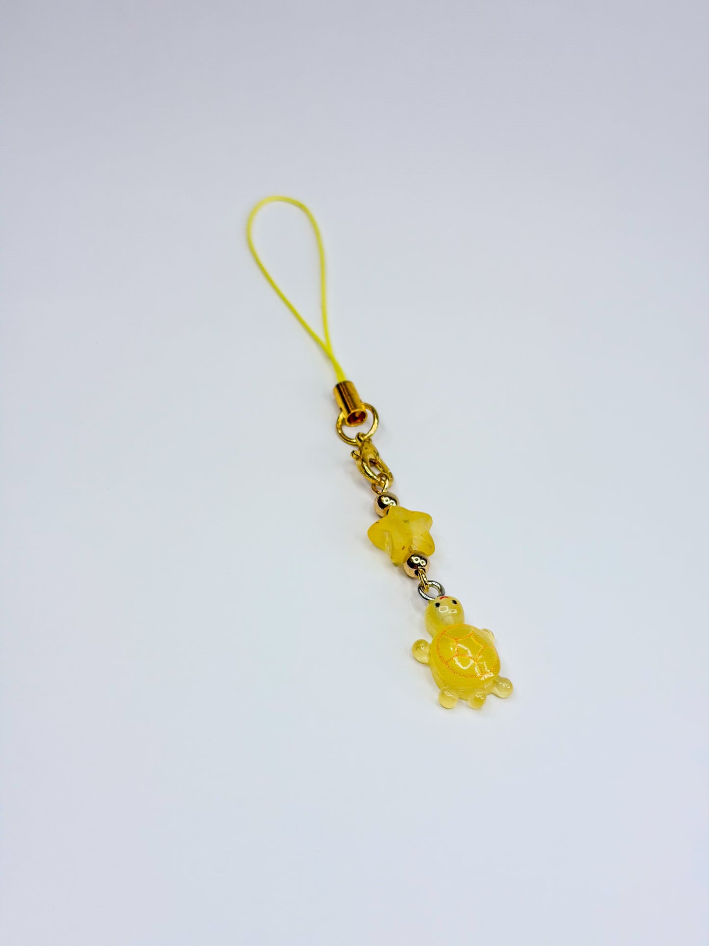 Lucky Turtle 𓆉°❀⋆.*:･ - Mystery Pocket