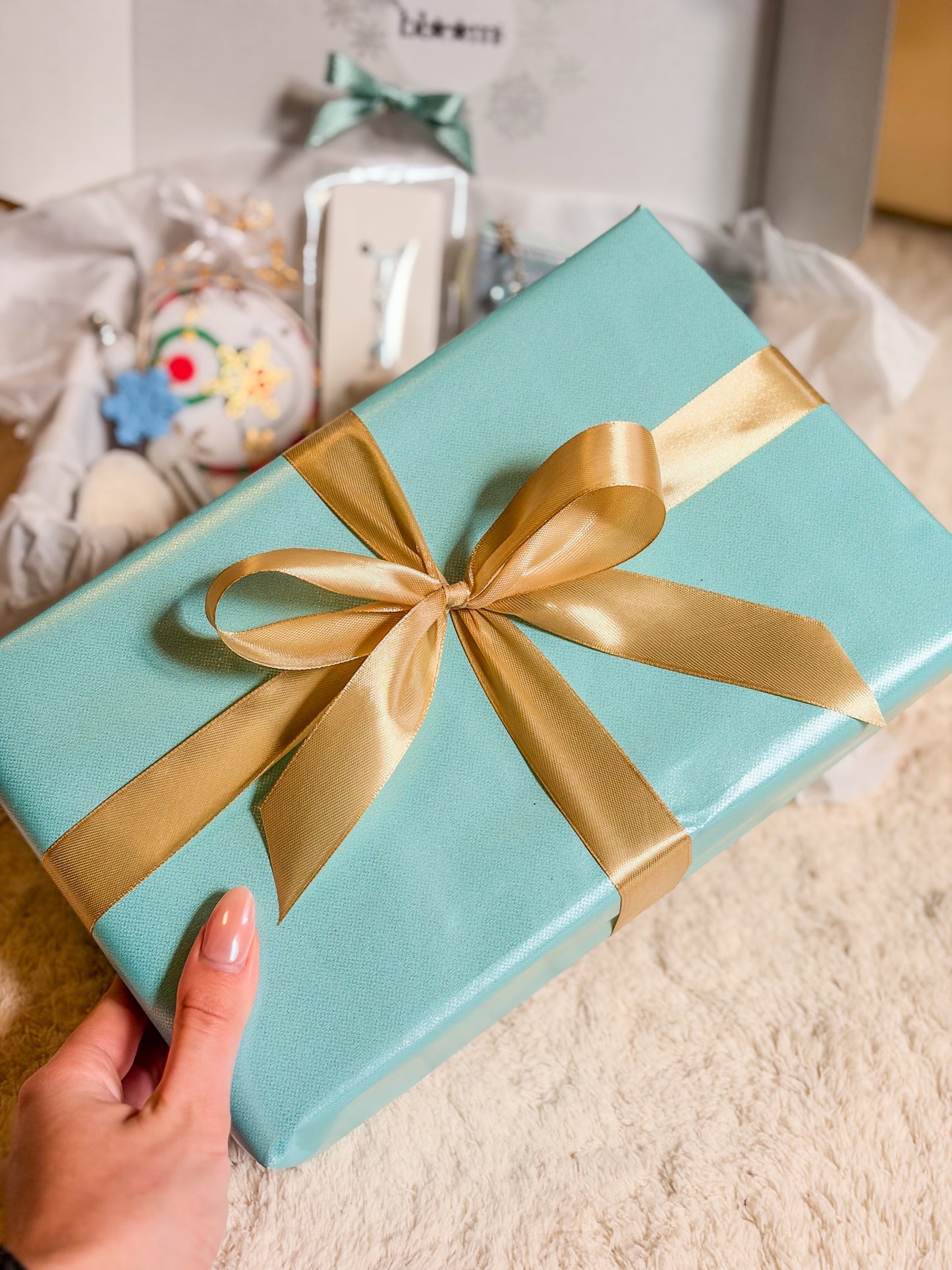 Christmas Magic Box ❅‧*₊⋆☃︎‧*❆₊⋆ – Frozen Edition BloomLov