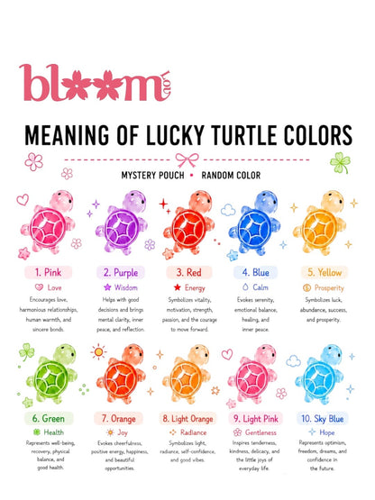 Lucky Turtle 🐢🍀 - Dust Plug - Bouchon anti-poussières - Mystery Pocket BloomLov