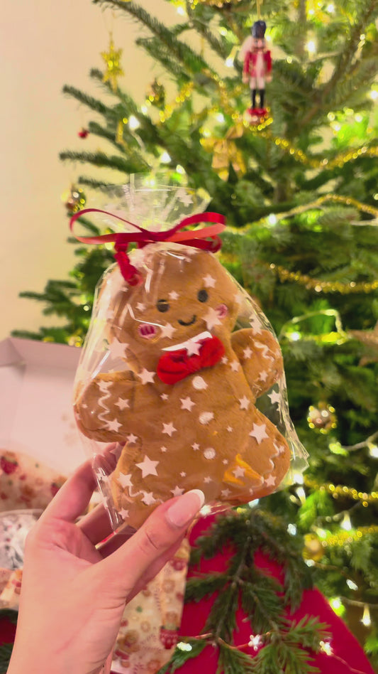 Christmas Magic Box ⋆❅*𖢔𐂂☃︎꙳ – Gingerbread Edition