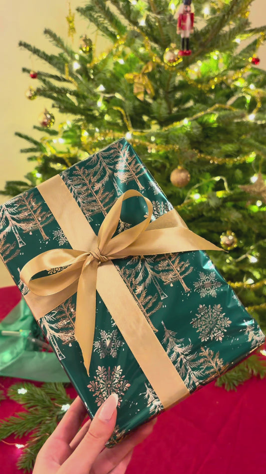 Christmas Magic Box ⋆𐙚❅*°⋆❆.ೃ࿔*: – Green Edition